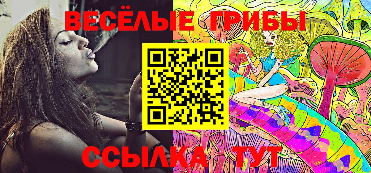 Галлюциногенные грибы GOLDEN TEACHER Долгопрудный