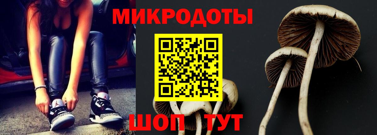 Псилоцибиновые грибы ЛСД  Галлюциногенные грибы ЛСД  Долгопрудный  даркнет сайт  Вход с VPN 